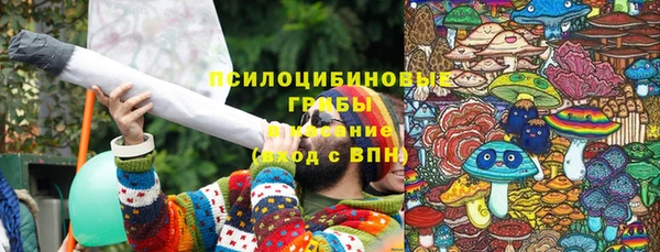 МДПВ Козельск