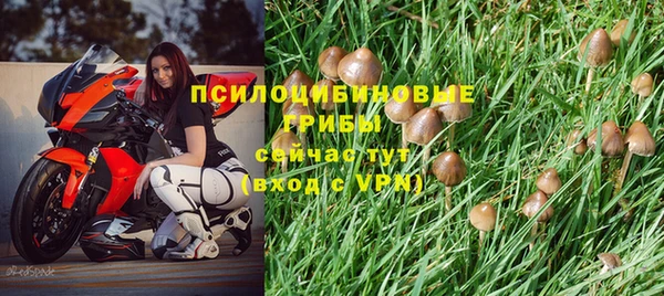 МДПВ Козельск