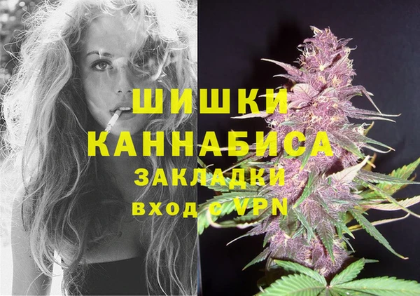 МДПВ Козельск